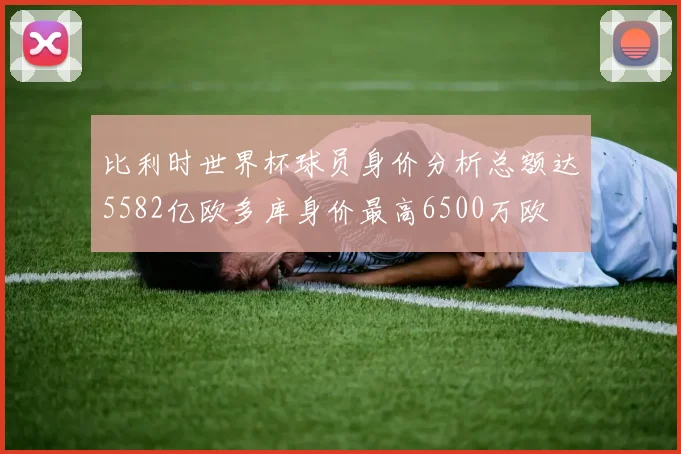 比利时世界杯球员身价分析总额达5582亿欧多库身价最高6500万欧