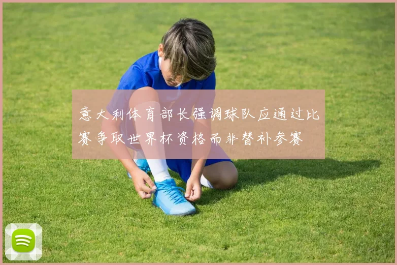 意大利体育部长强调球队应通过比赛争取世界杯资格而非替补参赛